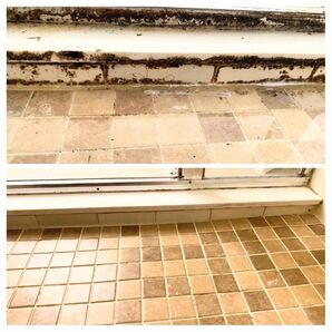 Before and After Bathroom Cleaning in Roseland, FL (2)